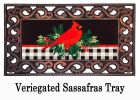 Sassafras Merry Christmas Cardinal Mat - 10 x 22 Insert Doormat