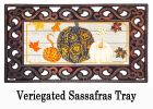 Patterned Pumpkins and Leaves Sassafras Mat - 10 x 22 Insert Doormat
