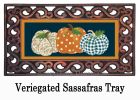 Patterned Pumpkins Sassafras Mat - 10 x 22 Insert Doormat