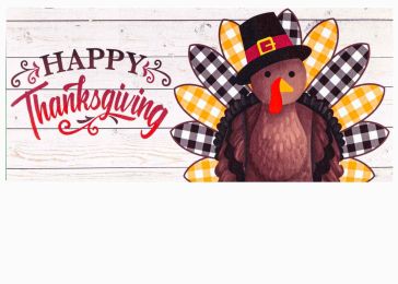 Pilgrim Turkey Sassafras Mat - 10 x 22 Insert Doormat