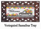 Plaid Truck Floral Sassafras Mat - 10x22 Insert Doormat