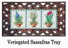 Potted Spring Plants Sassafras Mat - 10 x 22 Insert Doormat