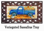 Pumpkin Farm Truck Sassafras Mat - 10 x 22 Insert Doormat