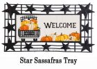 Pumpkin Plaid Truck Sassafras Mat - 10 x 22 Insert Doormat