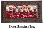 Sassafras Red Truck with Puppies Mat - 10 x 22 Insert Doormat