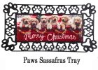 Sassafras Red Truck with Puppies Mat - 10 x 22 Insert Doormat