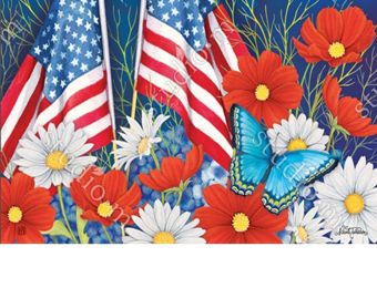 Indoor & Outdoor Red,White & Blue MatMate Doormat-18x30