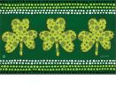 Shamrock Indoor & Outdoor MatMate Doormat - 18x30