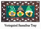 St Patrick's Patterned Gnomes Sassafras Switch Mat - 10 x 22 Insert Doormat