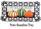 Still Life Gourds Sassafras Mat - 10 x 22 Insert Doormat