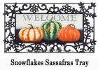 Still Life Gourds Sassafras Mat - 10 x 22 Insert Doormat