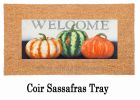 Still Life Gourds Sassafras Mat - 10 x 22 Insert Doormat