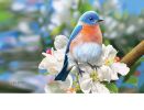 Stunning Bluebird Indoor & Outdoor Doormat - 18 x 30