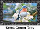 Stunning Bluebird Indoor & Outdoor Doormat - 18 x 30