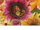 Sunflower Butterfly Indoor & Outdoor MatMates Insert Doormat - 18" x 30"
