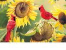 Sunflower Cardinal Indoor & Outdoor MatMates Insert Doormat - 18 x 30