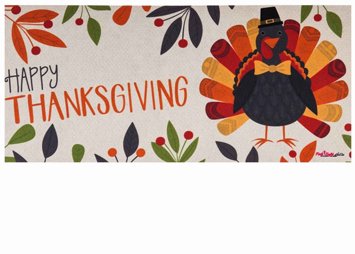 Sassafras Thanksgiving Turkey Switch Mat 10 x 22 Doormat