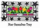 Welcome Spring Tulips Sassafras Mat - 10 x 22 Insert Doormat