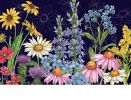 Wildflower Mix Indoor & Outdoor MatMate Doormat - 18 x 30