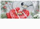 Winter Encounter Sassafras Mat - 10 x 22 Insert Doormat