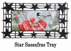 Winter Encounter Sassafras Mat - 10 x 22 Insert Doormat