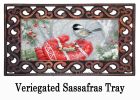 Winter Encounter Sassafras Mat - 10 x 22 Insert Doormat