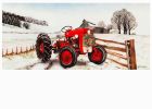 Winter Red Tractor Sassafras Mat - 10 x 22 Insert Doormat