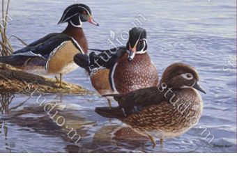 Indoor & Outdoor Wood Duck MatMate Insert Doormat-18x30