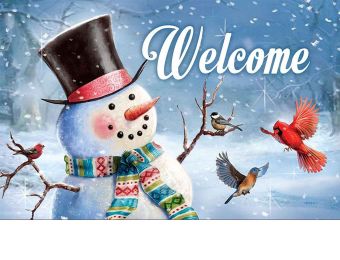 Winter Doormat Snowman Winter Matmate Door Mats