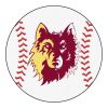 Northern State University Ball Shaped Area Rugs